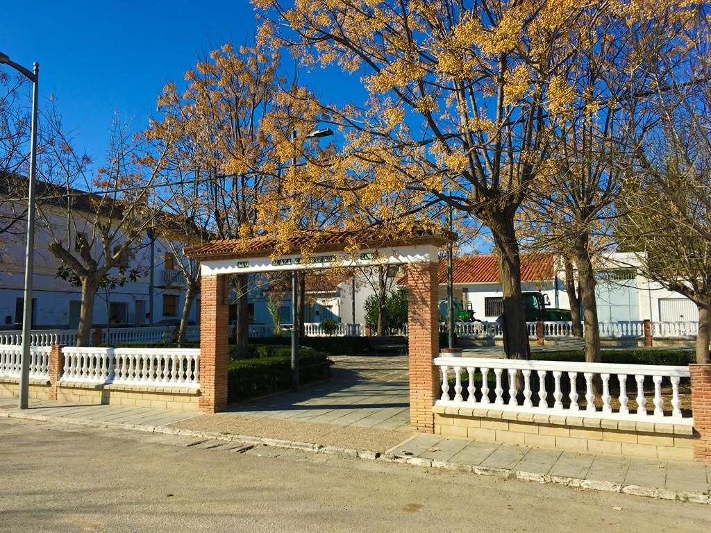 Plaza Canasteros de Casanueva