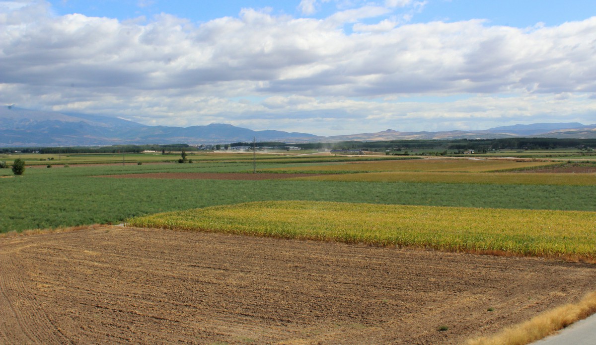 La Vega vista desde Pinos Puente